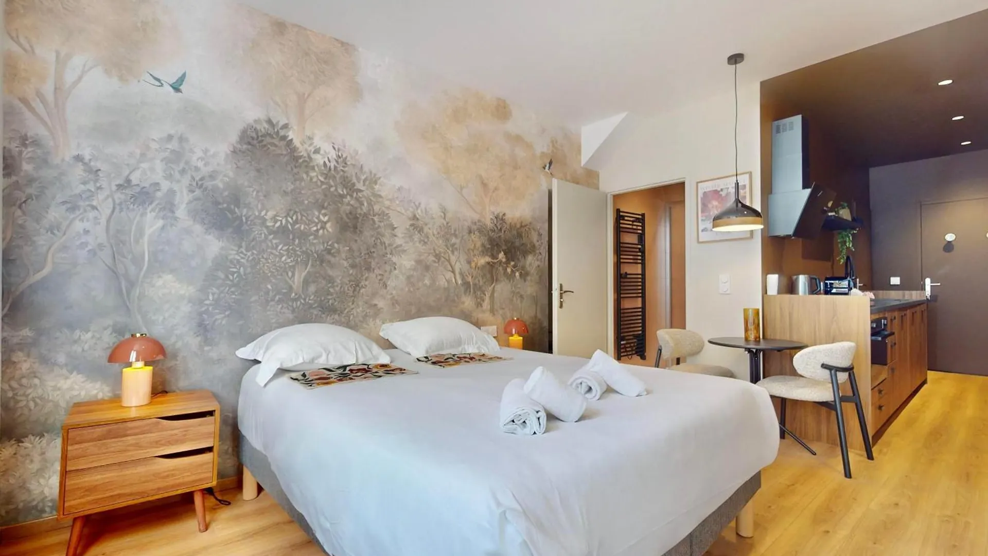 Apartment Studio Moderne En Plein Coeur De La Vieille Ville D'Annecy